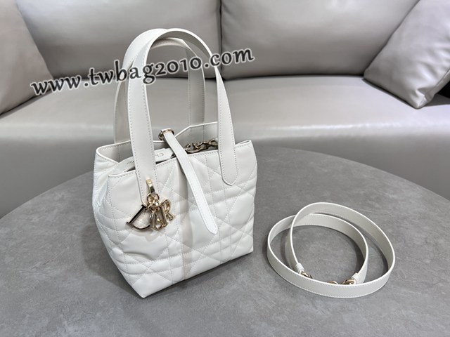 Dior专柜2025新款迪奥高仿原单Toujours竖版手袋牛皮休闲手提女包 djfk1299